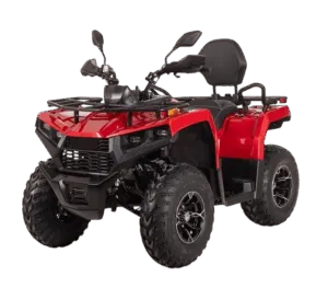 Квадрицикл Bizon YK250 LUX EFI  от официального дилера Darexmoto