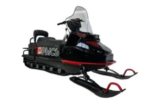 Снегоход БТС 4Т Рысь 600 ЛЮКС 29 л.с. 726 м3  от официального дилера Darexmoto